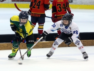 IV. Steel Bulls Cup U8 - fotó: 