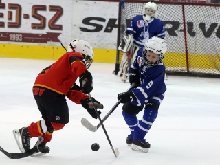 IV. Steel Bulls Cup U8 - fotó: 