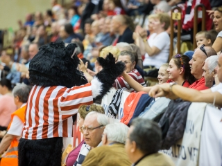 DKKA - Siófok KC 35-21 - fotó: Ónodi Zoltán