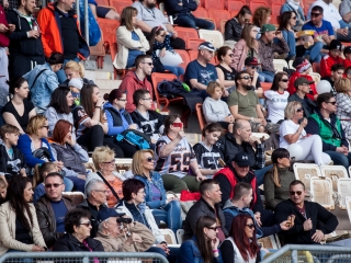 Dunaújváros Gorillaz - Budapest Wolves 41-23 - fotó: Ónodi Zoltán