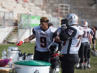 Dunaújváros Gorillaz - Budapest Wolves 41-23 - fotó: Ónodi Zoltán