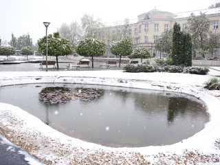 Hull a pelyhes áprilisi hó...  - fotó: Sándor Judit