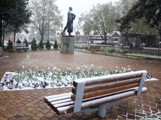 Hull a pelyhes áprilisi hó...  - fotó: Sándor Judit