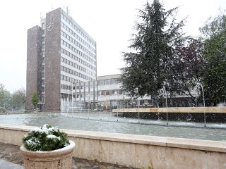 Hull a pelyhes áprilisi hó...  - fotó: Sándor Judit