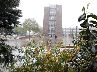 Hull a pelyhes áprilisi hó...  - fotó: Sándor Judit