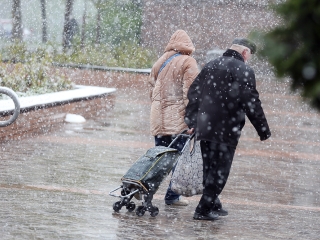 Hull a pelyhes áprilisi hó...  - fotó: Sándor Judit