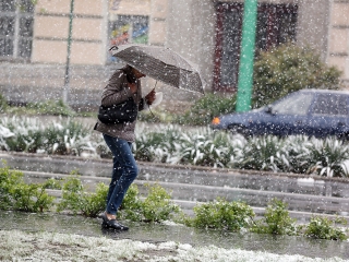 Hull a pelyhes áprilisi hó...  - fotó: Sándor Judit