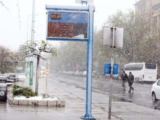 Hull a pelyhes áprilisi hó...  - fotó: Sándor Judit