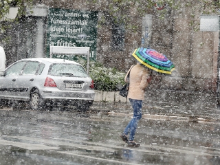 Hull a pelyhes áprilisi hó...  - fotó: Sándor Judit