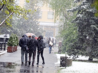 Hull a pelyhes áprilisi hó...  - fotó: Sándor Judit
