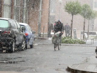 Hull a pelyhes áprilisi hó...  - fotó: Sándor Judit
