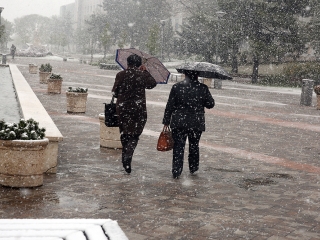 Hull a pelyhes áprilisi hó...  - fotó: Sándor Judit