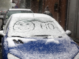 Hull a pelyhes áprilisi hó...  - fotó: Sándor Judit