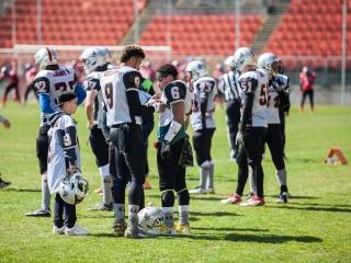 Gorillaz - Steelers 14-27 - fotó: Ónodi Zoltán