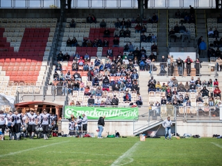 Gorillaz - Steelers 14-27 - fotó: Ónodi Zoltán