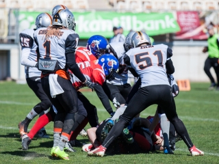 Gorillaz - Steelers 14-27 - fotó: Ónodi Zoltán