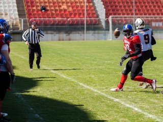 Gorillaz - Steelers 14-27 - fotó: Ónodi Zoltán