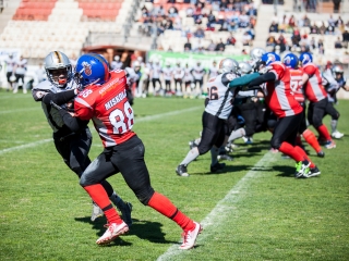 Gorillaz - Steelers 14-27 - fotó: Ónodi Zoltán