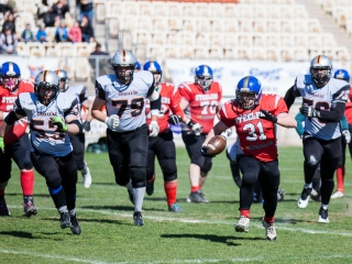 Gorillaz - Steelers 14-27 - fotó: Ónodi Zoltán