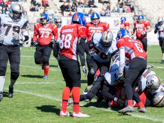 Gorillaz - Steelers 14-27 - fotó: Ónodi Zoltán