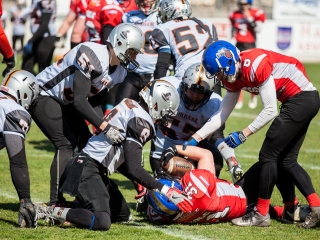 Gorillaz - Steelers 14-27 - fotó: Ónodi Zoltán