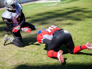 Gorillaz - Steelers 14-27 - fotó: Ónodi Zoltán