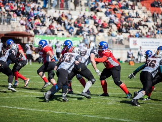 Gorillaz - Steelers 14-27 - fotó: Ónodi Zoltán