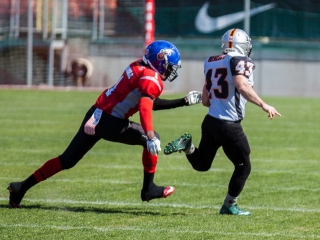 Gorillaz - Steelers 14-27 - fotó: Ónodi Zoltán