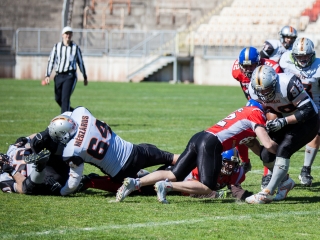 Gorillaz - Steelers 14-27 - fotó: Ónodi Zoltán