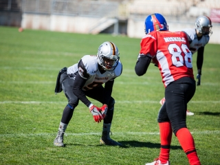 Gorillaz - Steelers 14-27 - fotó: Ónodi Zoltán