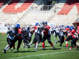 Gorillaz - Steelers 14-27 - fotó: Ónodi Zoltán