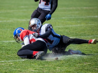 Gorillaz - Steelers 14-27 - fotó: Ónodi Zoltán