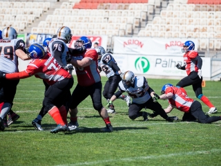 Gorillaz - Steelers 14-27 - fotó: Ónodi Zoltán