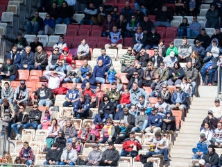 Gorillaz - Steelers 14-27 - fotó: Ónodi Zoltán