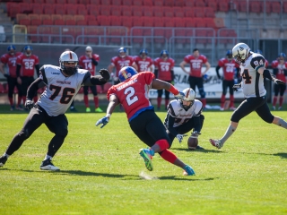 Gorillaz - Steelers 14-27 - fotó: Ónodi Zoltán