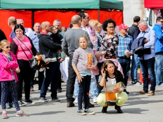 Magyarország - Székelyföld 8-5 - fotó: Ónodi Zoltán