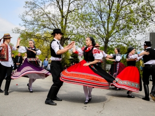 Magyarország - Székelyföld 8-5 - fotó: Ónodi Zoltán