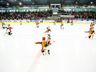 Magyarország - Székelyföld 8-5 - fotó: Ónodi Zoltán