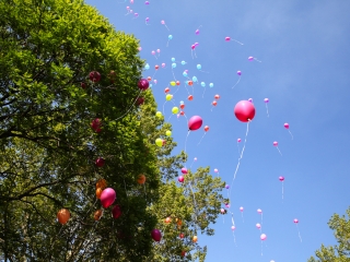 Ballagás a Kereskedelmiben (2017) - fotó: Ónodi Zoltán