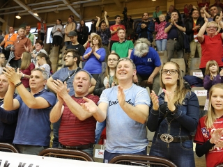 DKKA - FTC-Rail Cargo Hungaria 33-24 - fotó: Sándor Judit