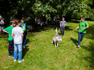 Nagy Sportágválasztó 217 - fotó: Ónodi Zoltán
