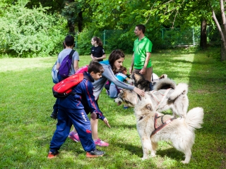 Nagy Sportágválasztó 217 - fotó: Ónodi Zoltán