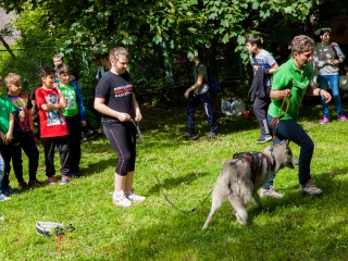 Nagy Sportágválasztó 217 - fotó: Ónodi Zoltán