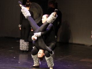 Wesley-Da Capo gála a Bartókban - fotó: Sándor Judit