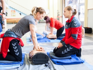 Újraélesztési rekord - A bartókosok és a kézis lányok is beszálltak - fotó: Ónodi Zoltán