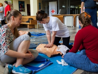 Újraélesztési rekord - A bartókosok és a kézis lányok is beszálltak - fotó: Ónodi Zoltán