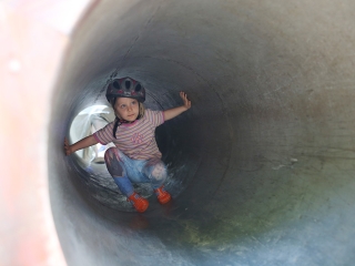 Rendvédelmi Nap 2017 - fotó: Sándor Judit