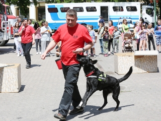 Rendvédelmi Nap 2017 - fotó: Sándor Judit