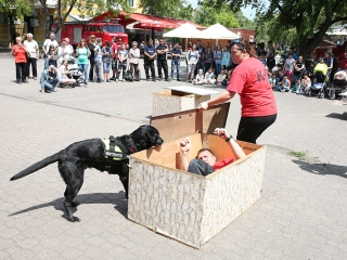 Rendvédelmi Nap 2017 - fotó: Sándor Judit