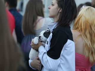 Családi Hétvége 2017 - Első nap - fotó: Sándor Judit